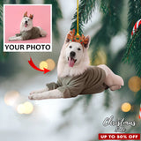 Custom Photo Ornament, Grandparents Gifts, Perfect Gift for Family, Friends, Kids and Lover | Grandparent