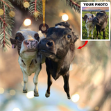Customized Your Photo Ornament - Personalized Photo Mica Ornament - Christmas Gifts For Pet Lover