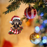Custom Photo Ornament, Christmas Pet Ornament, Christmas Gift For Pet Lover | Dog Hat